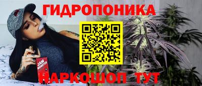 скорость Кандалакша