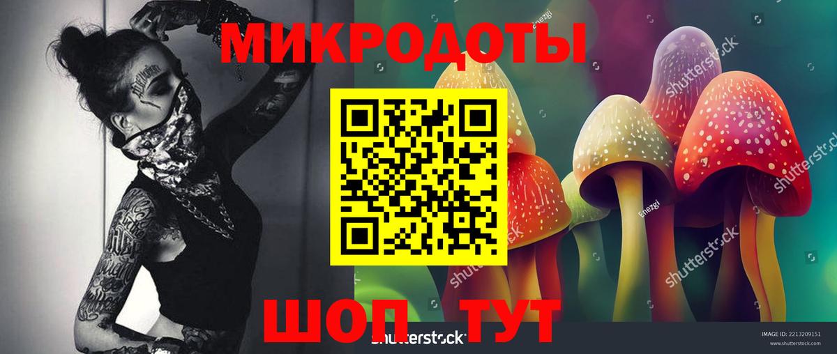 Псилоцибиновые грибы GOLDEN TEACHER  Вход с VPN  Тында 